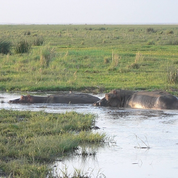 Sironka Safaris travel photo